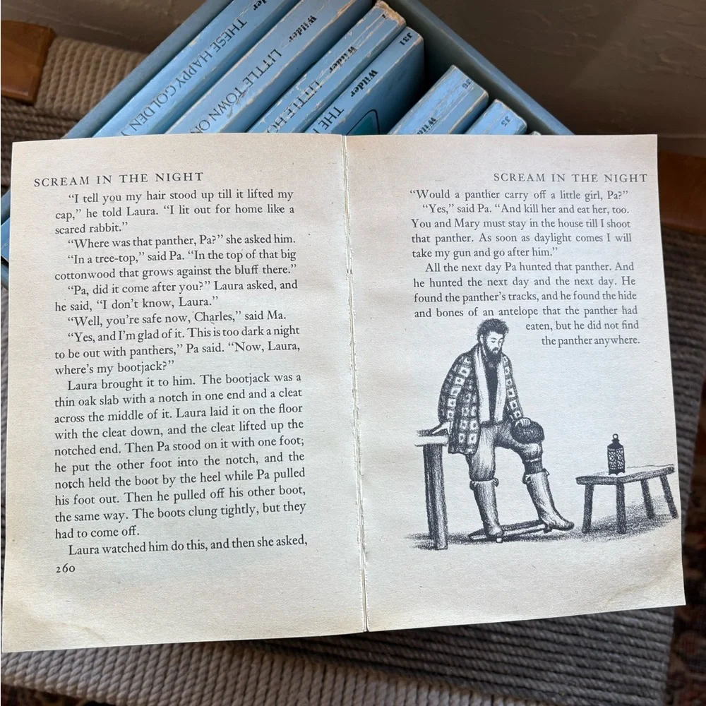 Little House on the Prairie Boxed Set Books - Picture 5 of 5